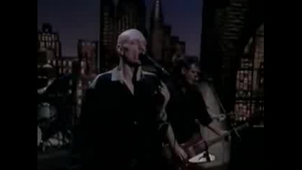 Midnight Oil - Outbreak Of Love