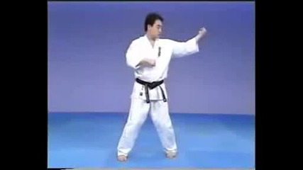 Kyokushin Karate Encyclopedia (iko1 - Matsui 8 Dan ) - 6