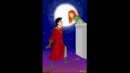 Harry Potter & Ginny Weasley The Squel
