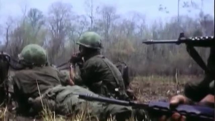 винтовки M-14,ar-15 и M-16