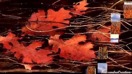 Kim Yoon - November Beautiful
