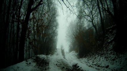 Inexistence - Bereavement