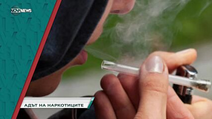 В "Социална мрежа" на 4 октомври ще видите