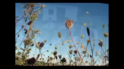Romanian Ballad - Ciprian Porumbescu