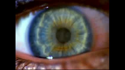 Moby - Porcelain