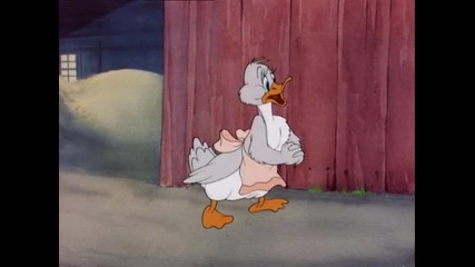 Tom and Jerry - Little Quacker 