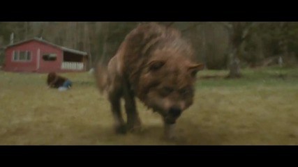 Twilight Saga - New Moon Scene:bella Slaps Paul (бг Субс)