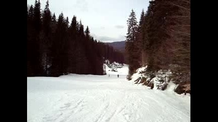 iveto