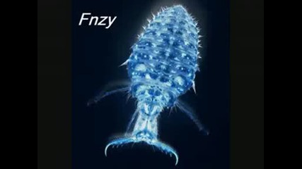Fnzy - New Crazy Dnb