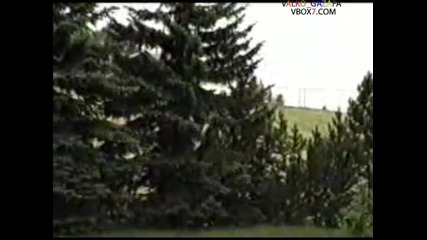 Jackass - Хлапак скача от покрив до дърво 