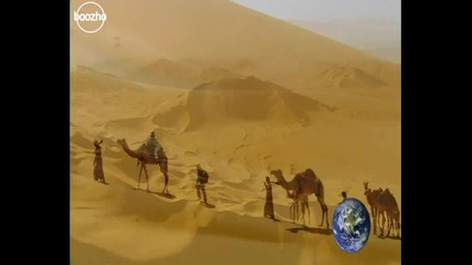 Филм за природата на Египет 