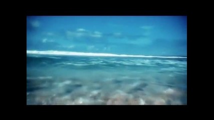 Dragana Mirkovic - Fobija