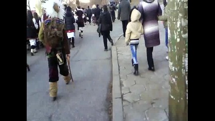 Surva Strumsko 14.01.2012(3)