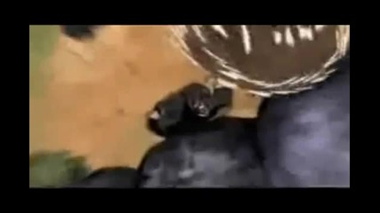 Hidan and Kakuzu Death