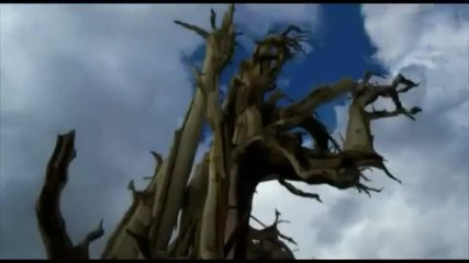 Enigma & Deep Forest - Inception