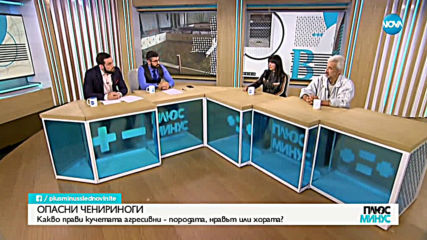 Активистка: При кучешките боеве играят много пари