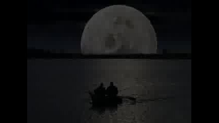 Kim Sevdi Seni Benim Kadarask Acisi...