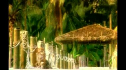Heat Hunter - Revolution in paradise