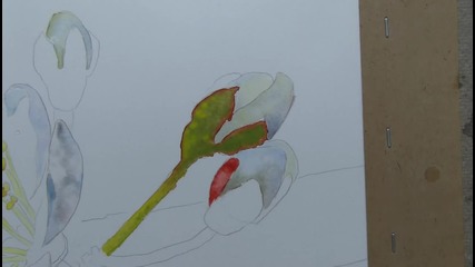 Как да нарисуваме черешов цвят /акварел/ част1/2