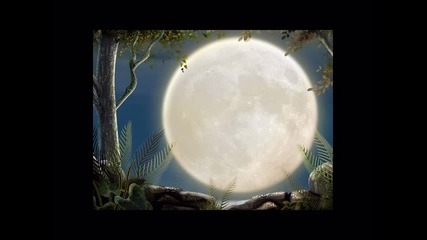 Karunesh - Call Of The Tribes