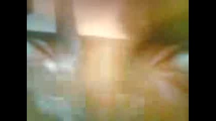herkul 