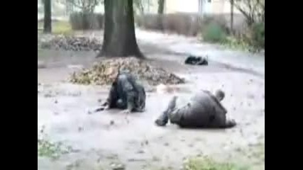 Дали не са пияни 