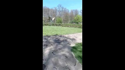 Vid_20230415_144924.mp4