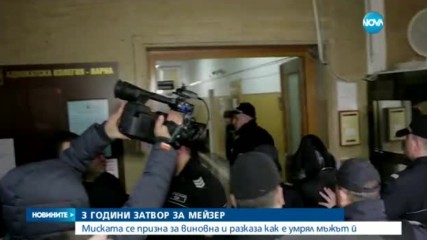 Три години затвор за Анита Мейзер