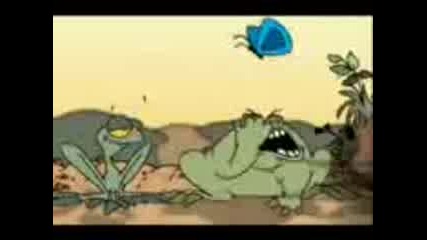 Two Frogs 