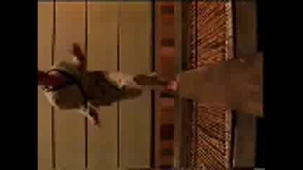 Prodigy - Smack My Bitch Up (the Matrix)