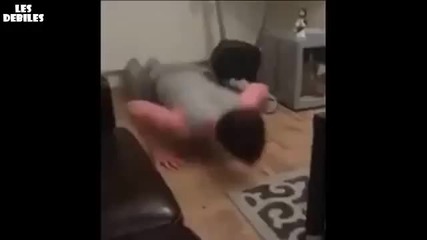 Такъв идиот не сте виждали ! ( Смях )