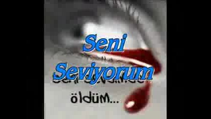 Seni Seviyorum