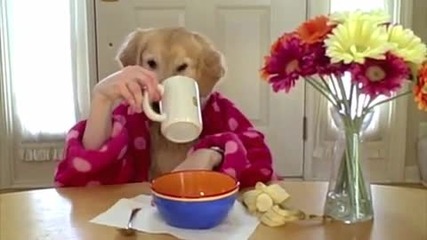 Куче закусва и пие чай с ръце