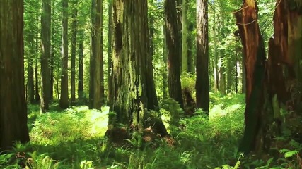 The beauty of North American National Parks