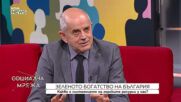 Зеленото богатство на България: Какво е състоянието на горските ресурси у нас