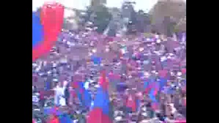 Steaua Fans