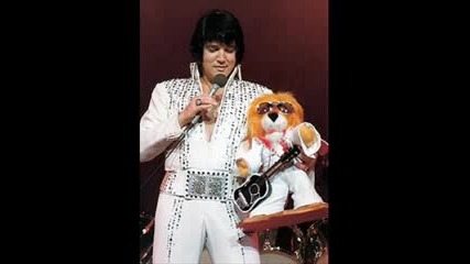Elvis - How The Web Was Woven
