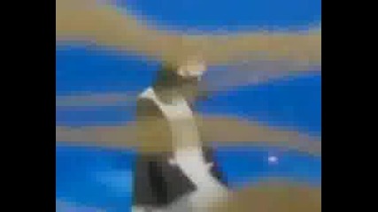 Bleach - New Pain