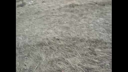 Off Road Vraca