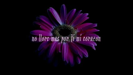 Gipsy Kings Mi Corazon (lyrics)