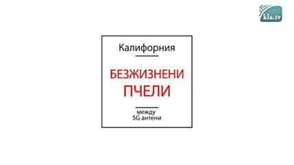Голата Истина За 5g