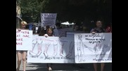 Приподозащитници протестират срещу избиването на кучета