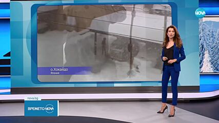 Северна Япония в снежен капан: Спрени полети, затрупани коли и затворени училища (ВИДЕО)