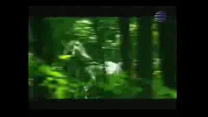 ♥ ღ♥ღ Gloria feat. Azis - Make Love, Not War ♥ ღ♥ღ