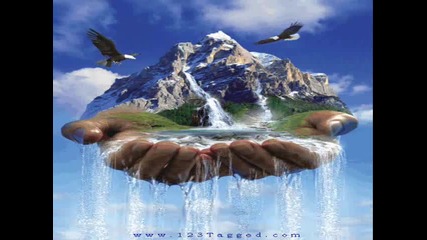 Miso Davidovic- Ludo moje,,,.wmv