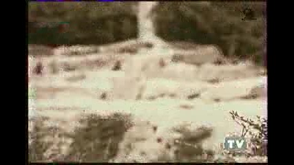 Не се закачай с слон :д