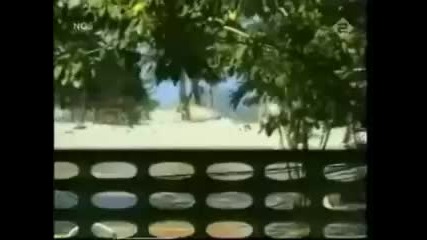 Вижте как за един миг Рая става Ад 