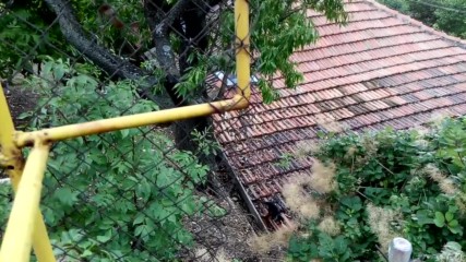 Vid_20150822_160704