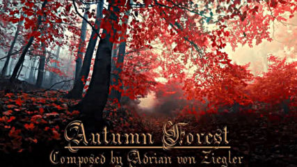 Relaxing Celtic Music - Autumn Forest