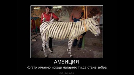 Луди Снимки 12